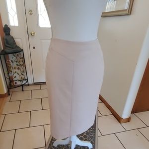 Worthington skirt